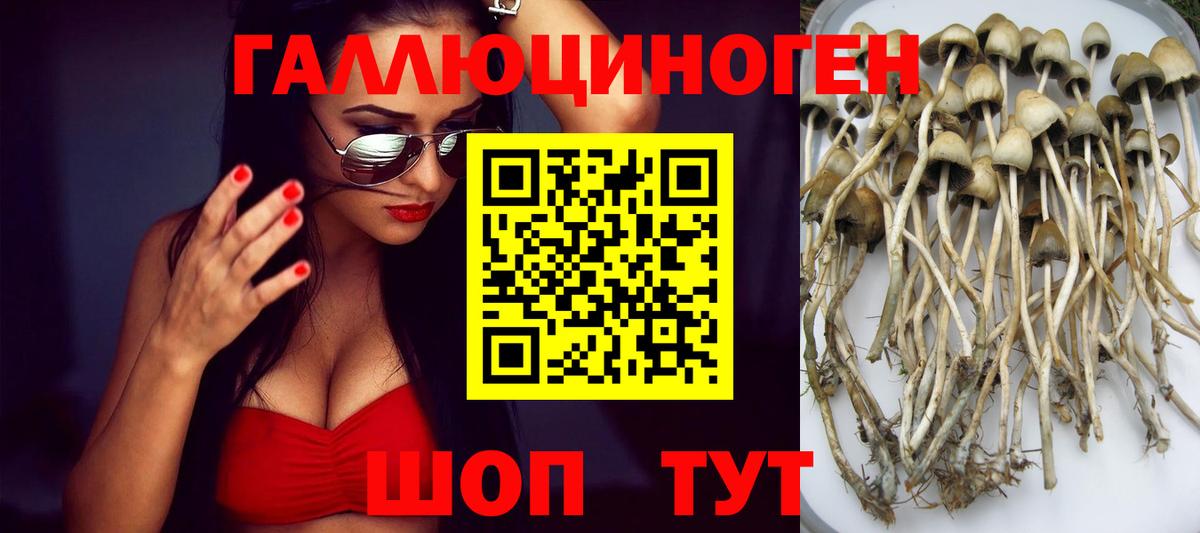 Галлюциногенные грибы мухоморы Первоуральск