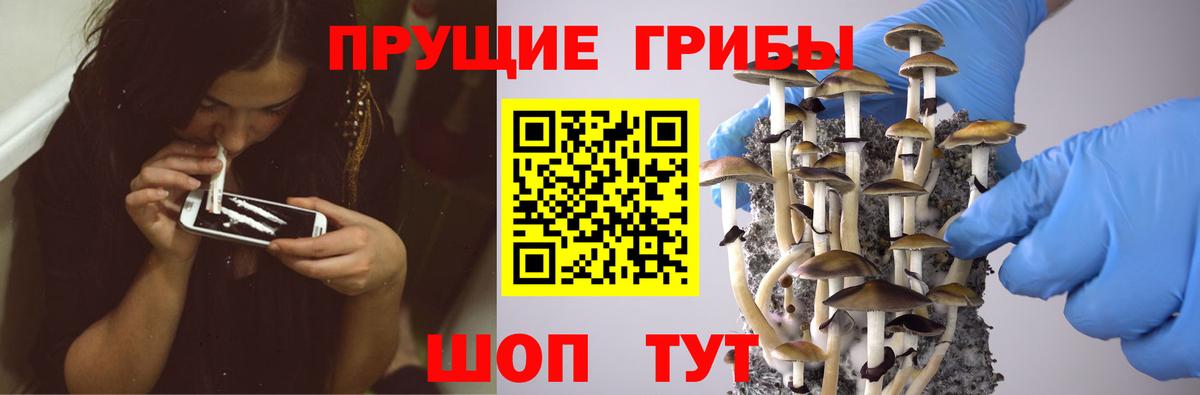 Галлюциногенные грибы Magic Shrooms  закладка  Первоуральск  Вход с VPN 